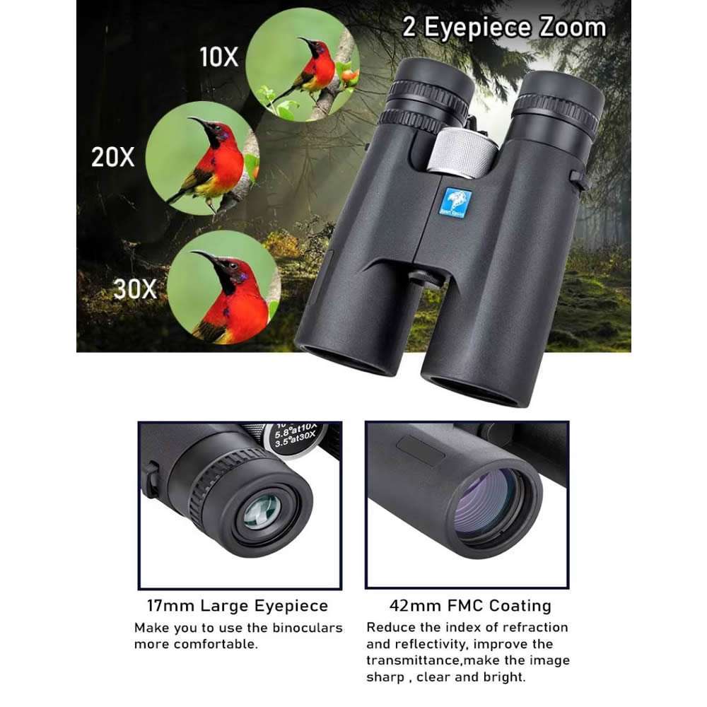surveillance binoculars